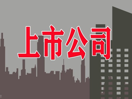 安迅商務(wù)告訴您：公司上市有什么好處？